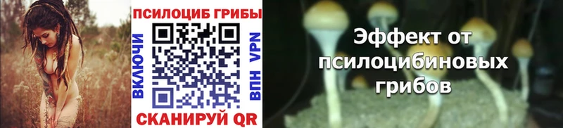 Купить закладки  Грязовец  Псилоцибиновые грибы Cubensis 